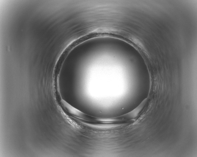 X0000065960976200603101418