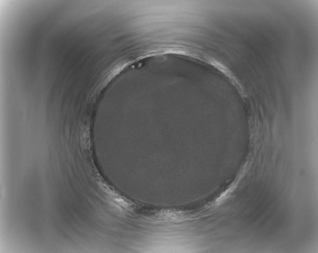 X0000065960977200603101418