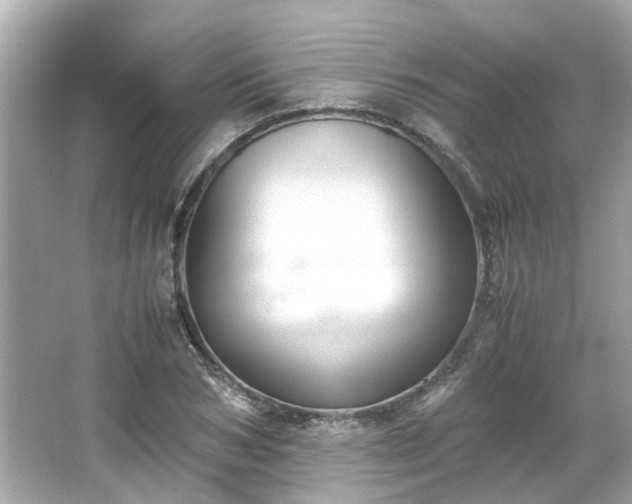 X0000065960978200603101418