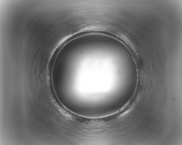 X0000065960981200603101418