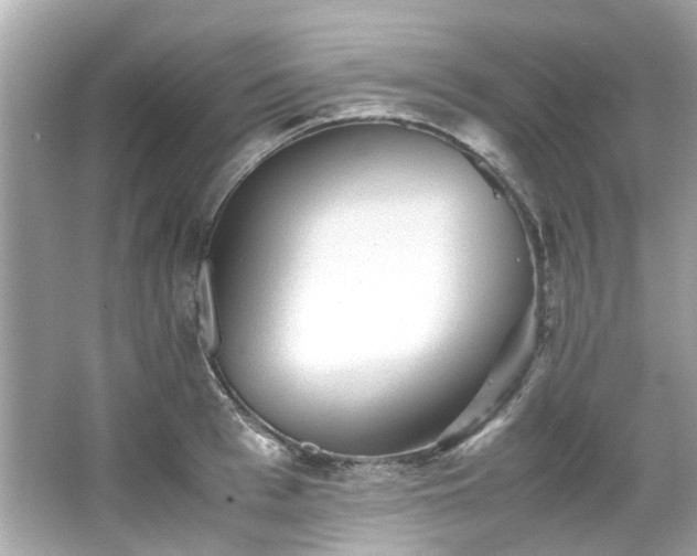 X0000065960993200603101417