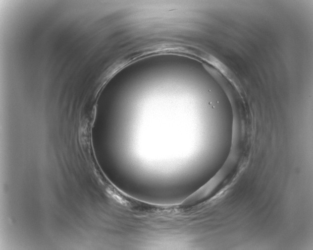 X0000065961001200603101417
