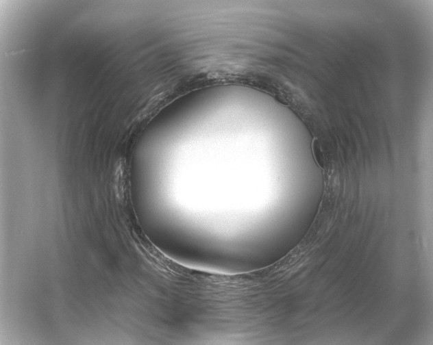 X0000065961012200603101416