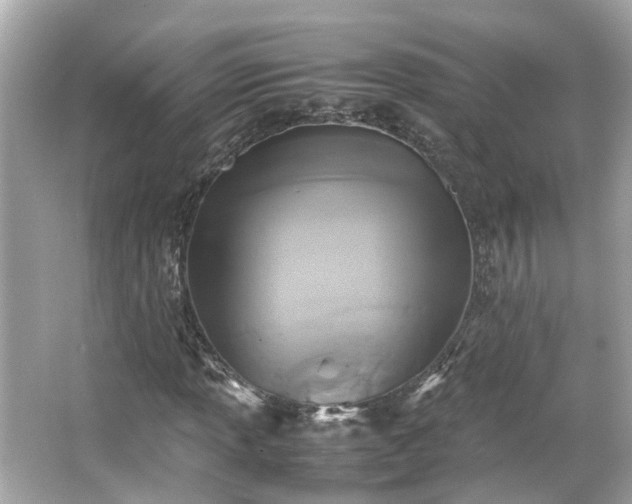 X0000065961013200603101416