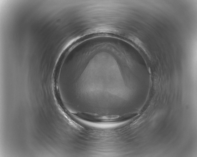 X0000065961024200603101416