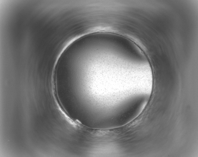 X0000065961056200603101417