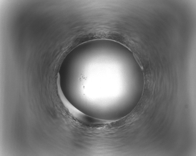 X0000065961057200603101416