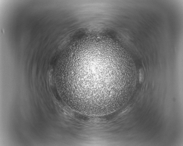 X0000065961059200603101416