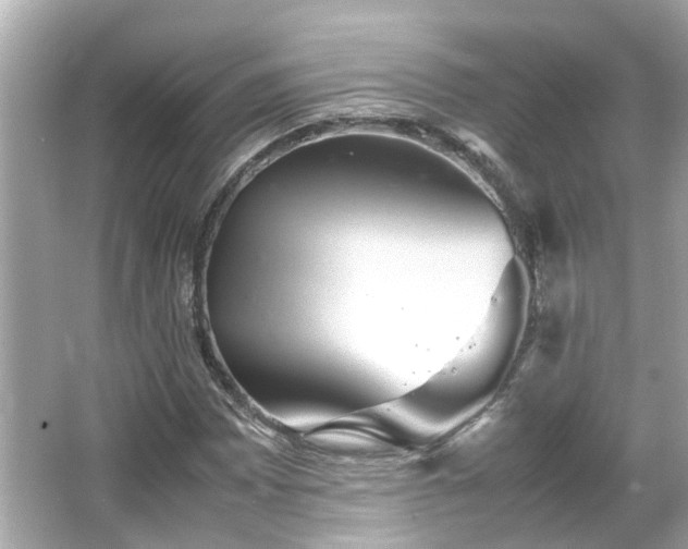 X0000065961065200603101416