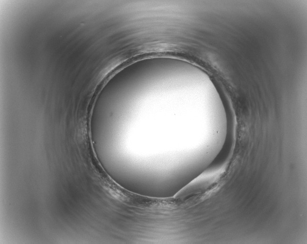 X0000065961073200603101416