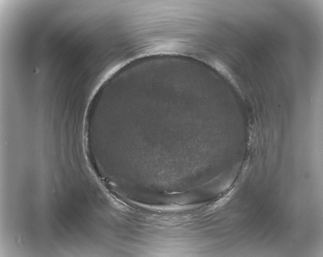X0000065961077200603101416
