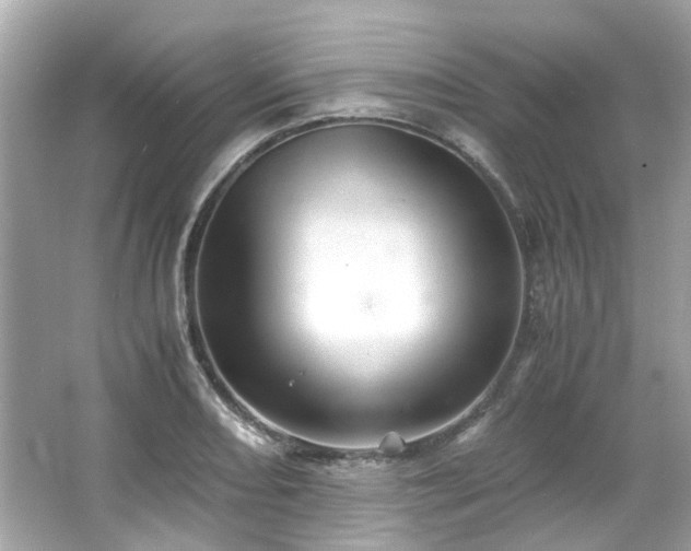 X0000065961082200603101416