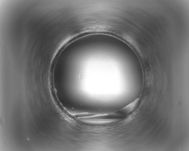 X0000065961085200603101416