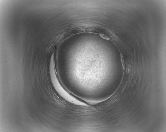 X0000065961108200603101415