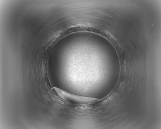 X0000065961110200603101415