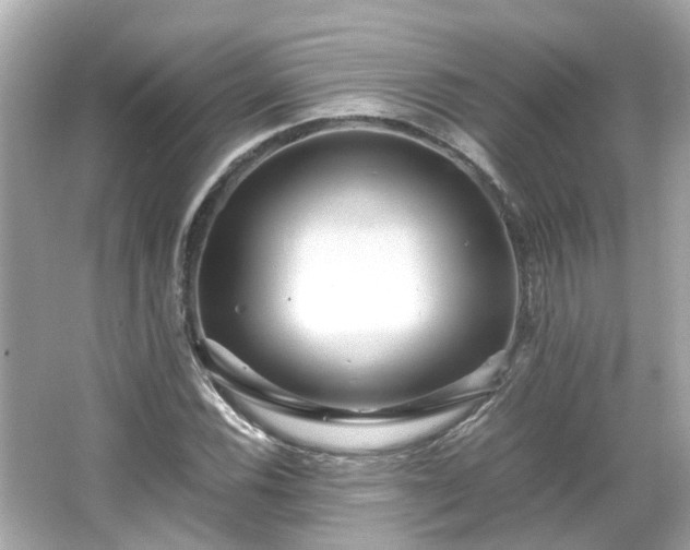 X0000065961116200603101415