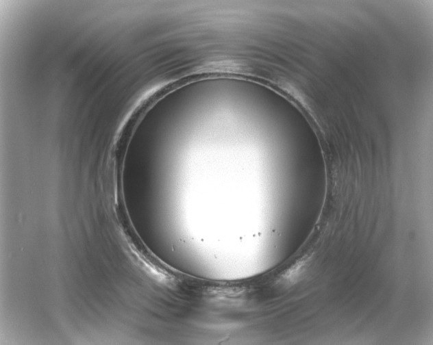 X0000065961123200603101415