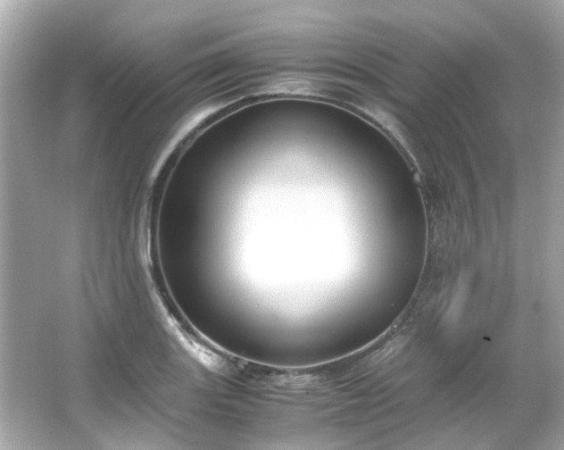 X0000065961131200603101415