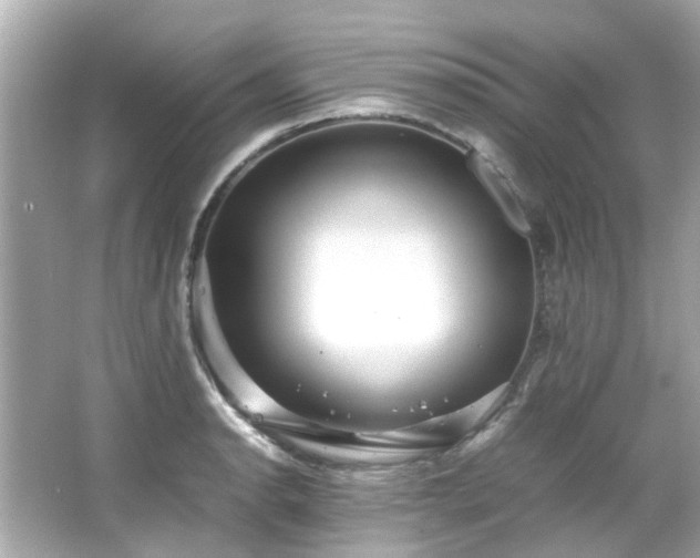 X0000065961134200603101415