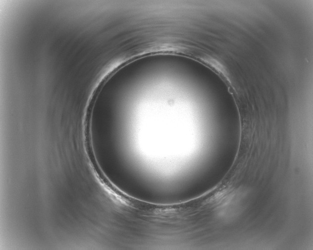 X0000065961135200603101415