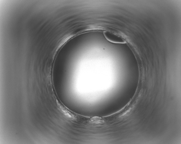 X0000065961137200603101415