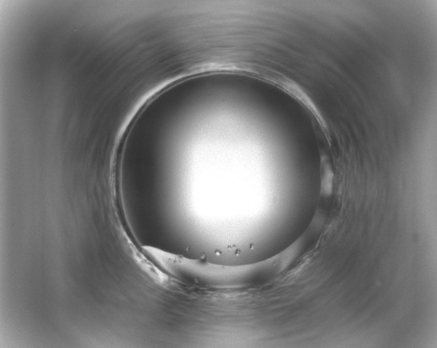 X0000065961148200603101415
