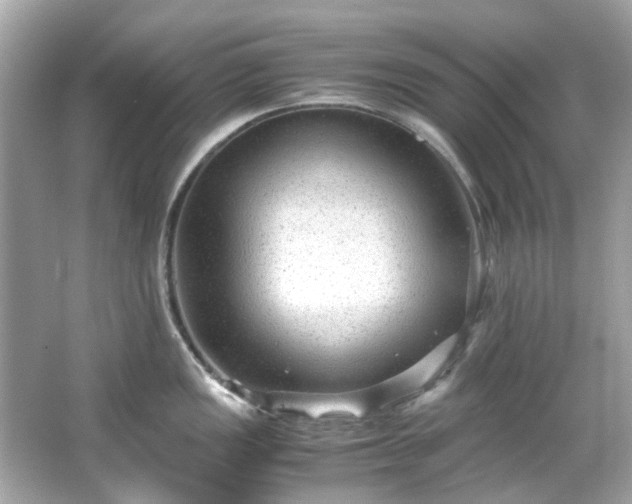X0000065961149200603101415