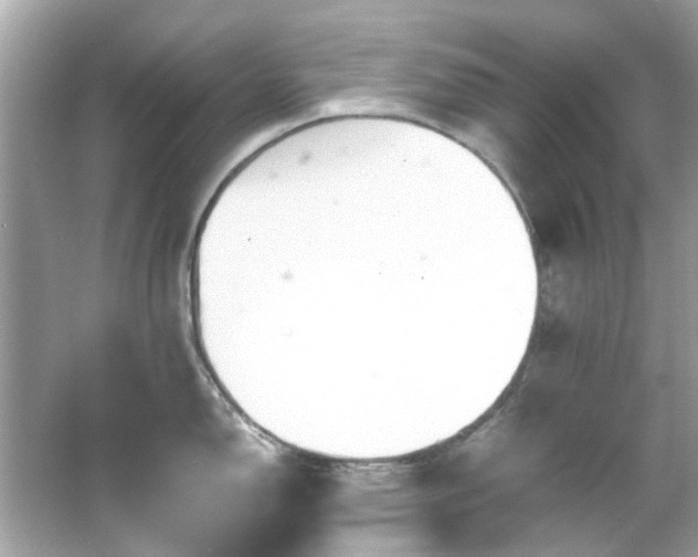 X0000065961150200603101415