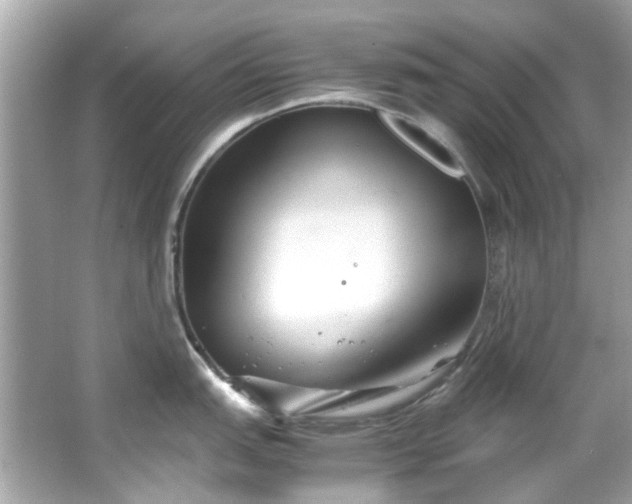 X0000065961151200603101415