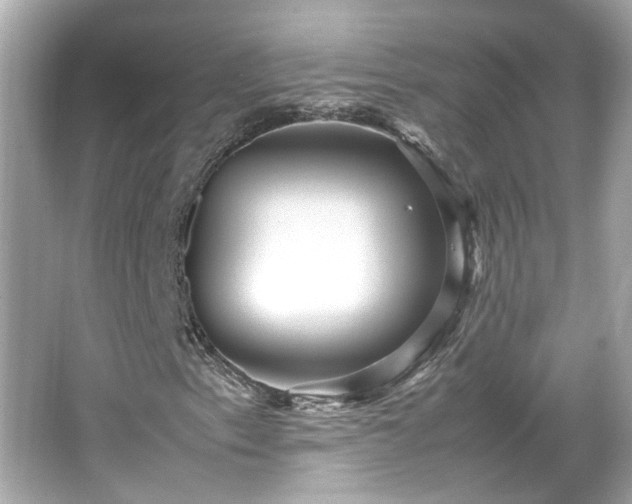 X0000065961153200603101415