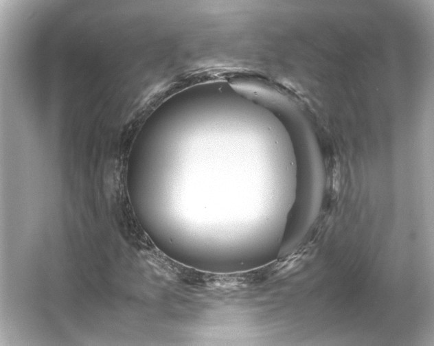 X0000065961157200603101415