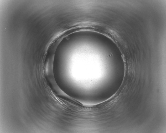 X0000065961164200603101414