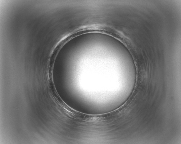 X0000065961166200603101414