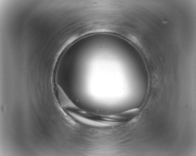 X0000065961181200603101414