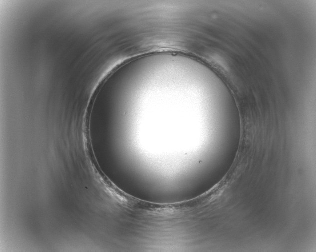 X0000065961182200603101414