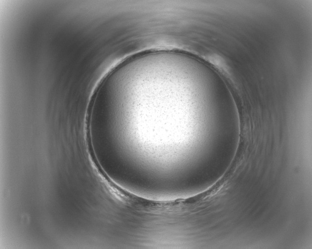 X0000065961183200603101414