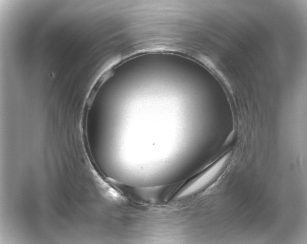X0000065961189200603101414