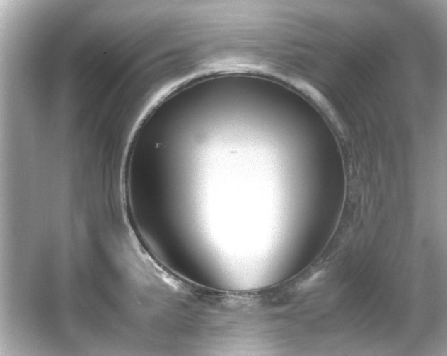 X0000065961191200603101414