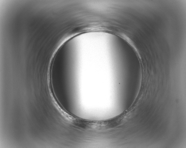 X0000065961195200603101414