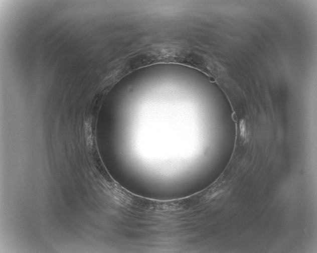 X0000065961203200603101413