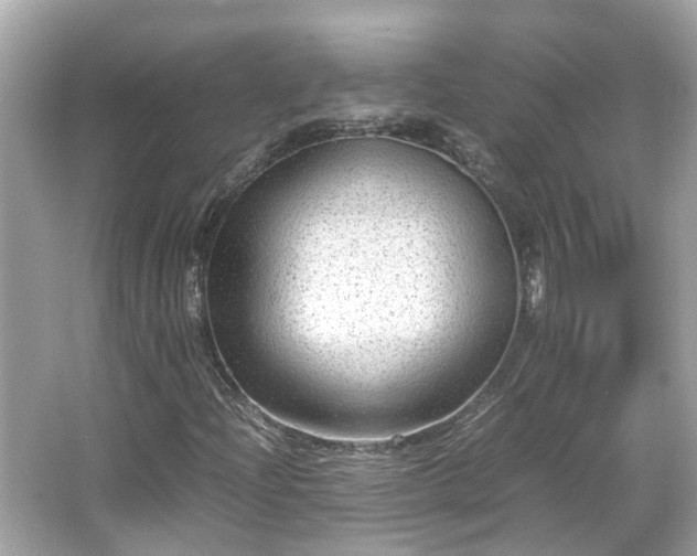 X0000065961204200603101413