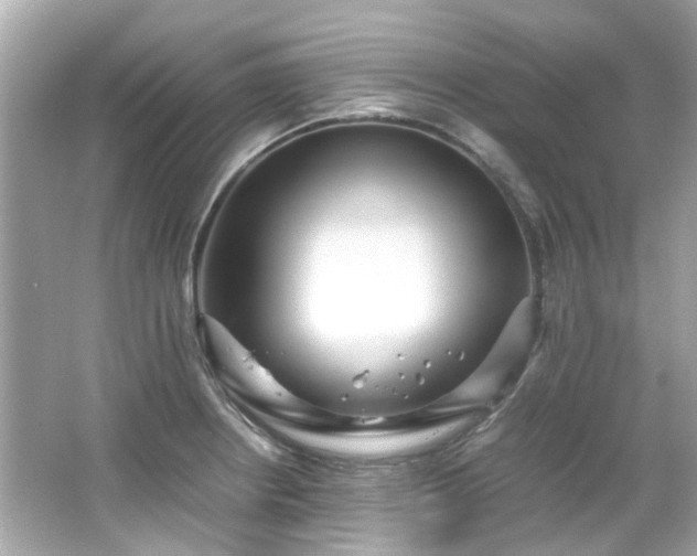 X0000065961234200603101414