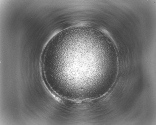 X0000065961235200603101414