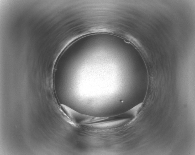 X0000065961236200603101414