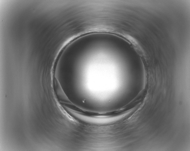 X0000065961238200603101414