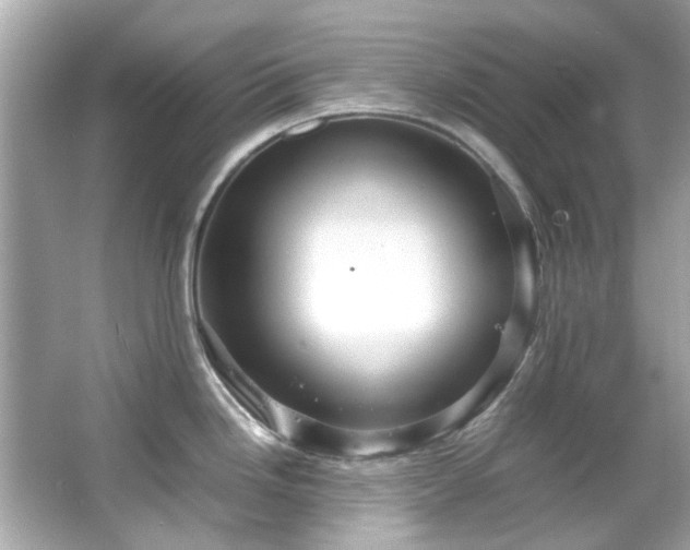X0000065961246200603101414