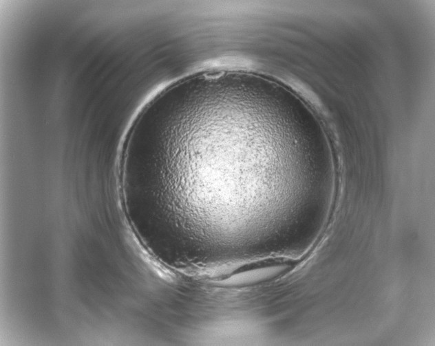X0000065961248200603101414
