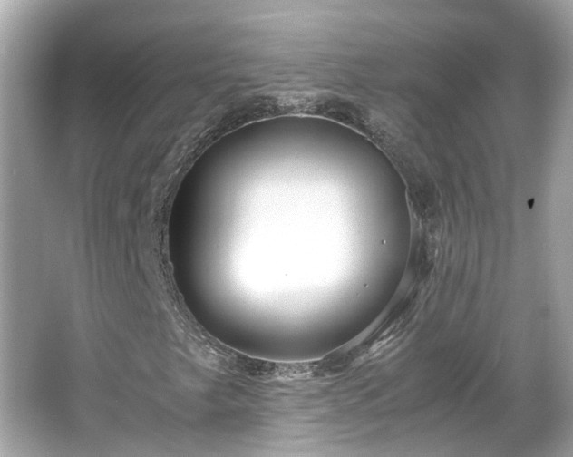 X0000065961249200603101413