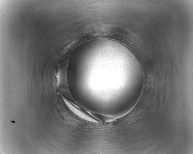 X0000065961250200603101413
