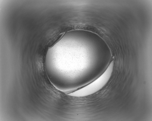 X0000065961252200603101413